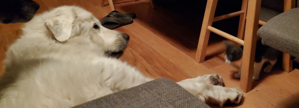 Consulting Writer tweet media