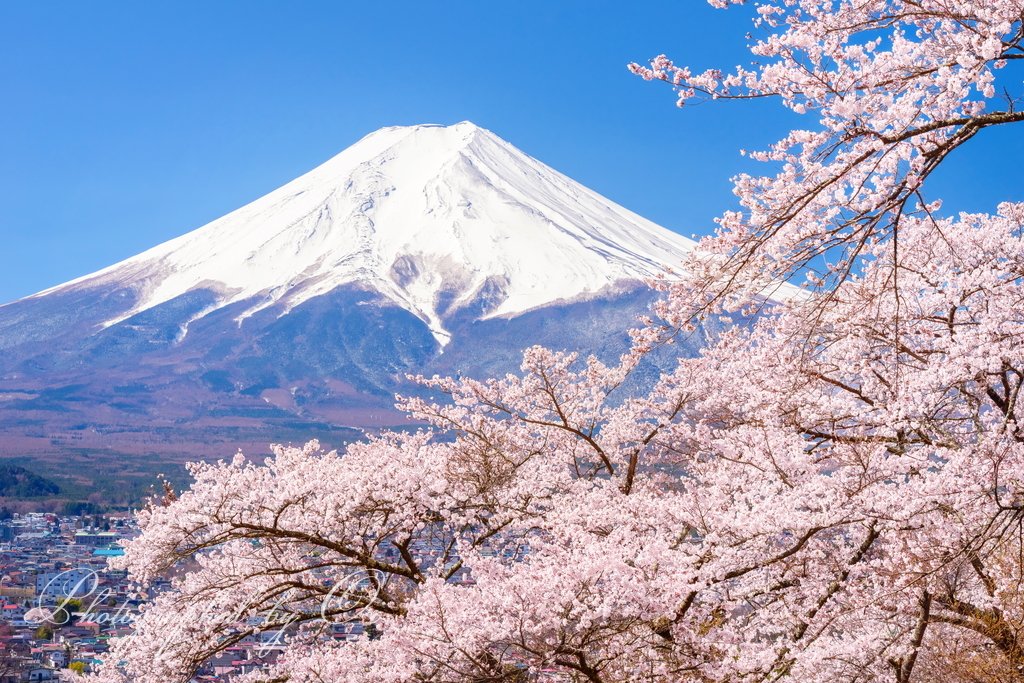 fujitomo_photo's tweet photo. Grokの翻訳機能のおかげで、日本の素晴らしい「富士山」の存在がより世界へと広がっていくことを楽しみにしています！

#富士山 https://t.co/1fazYKydoe