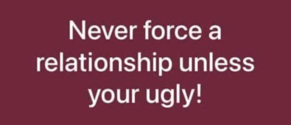 Primrose Trinitypeter tweet media