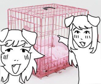 stray mimi !! tweet media