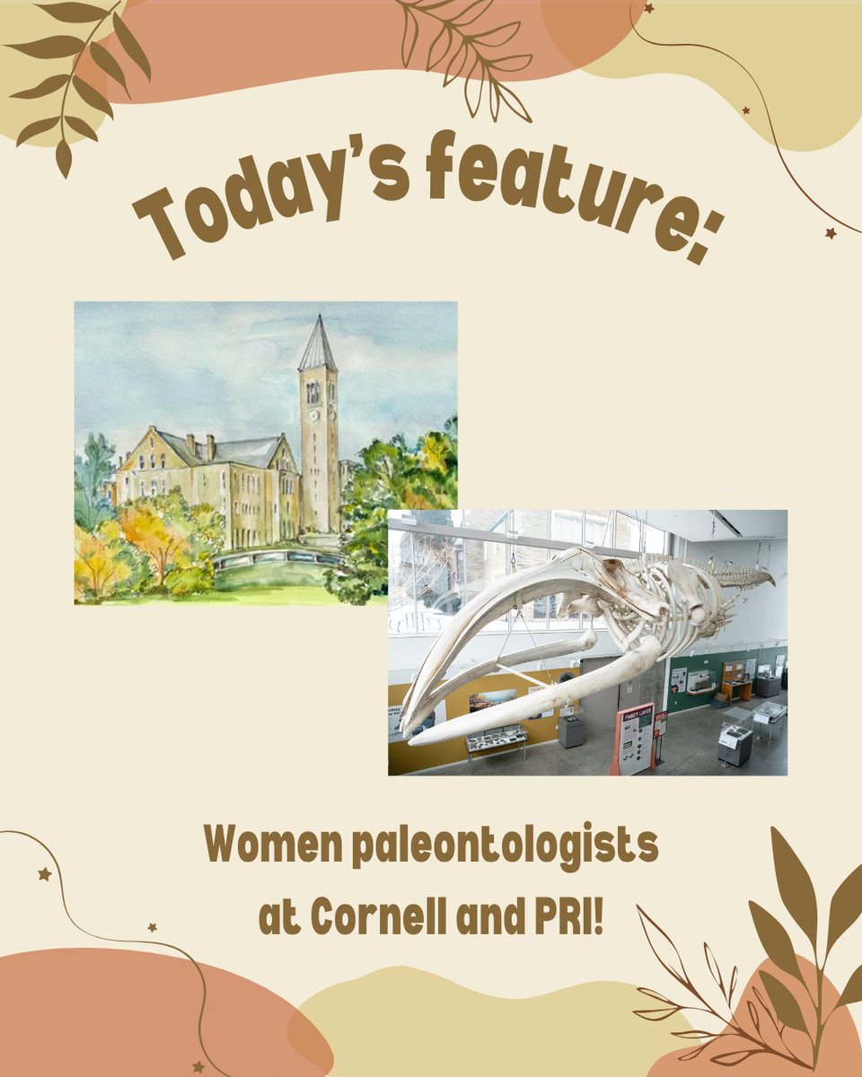 Paleontological Research Institution tweet media