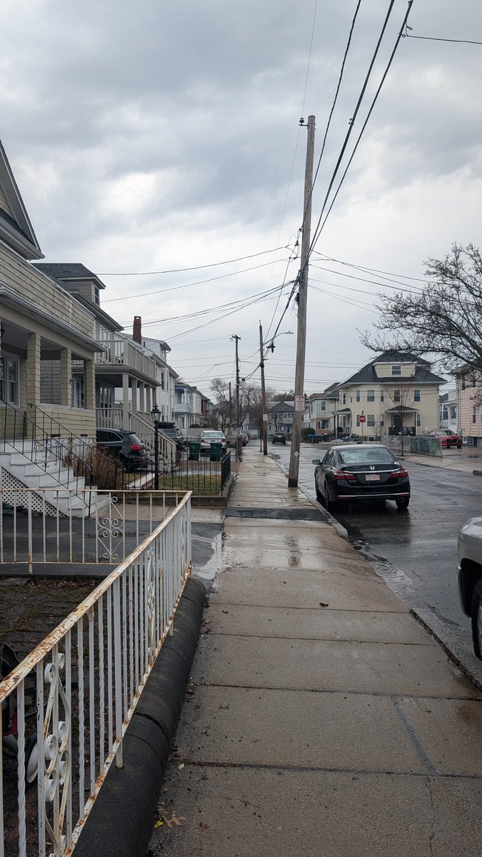 My Latin Life 🌴 tweet media