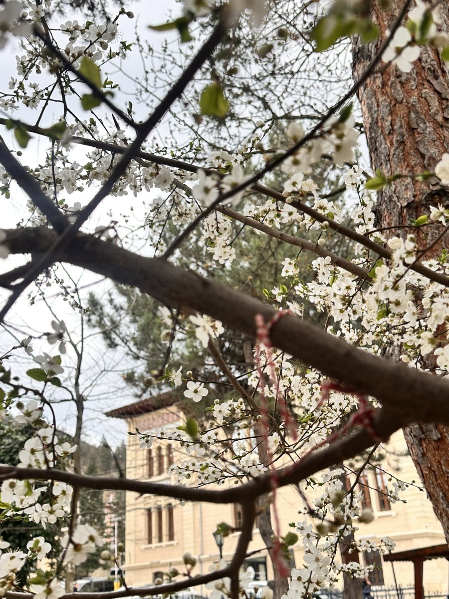 lebisalta's tweet photo. Ve insan, fark etmeden içindeki kışı geride bırakır.
İlkbahar… Sadece mevsim değil, yeniden inanmanın en güzel halidir. 🌸
#mevsim #bahar #kastamonu #kastamonuvaliliği https://t.co/Z8z6YpsEa7