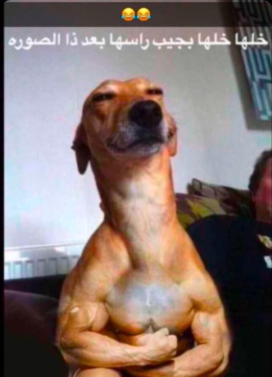 دحيم tweet media