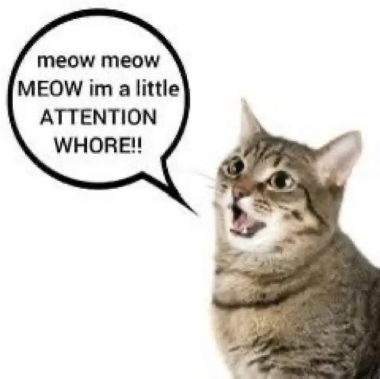 i drink soup tweet media