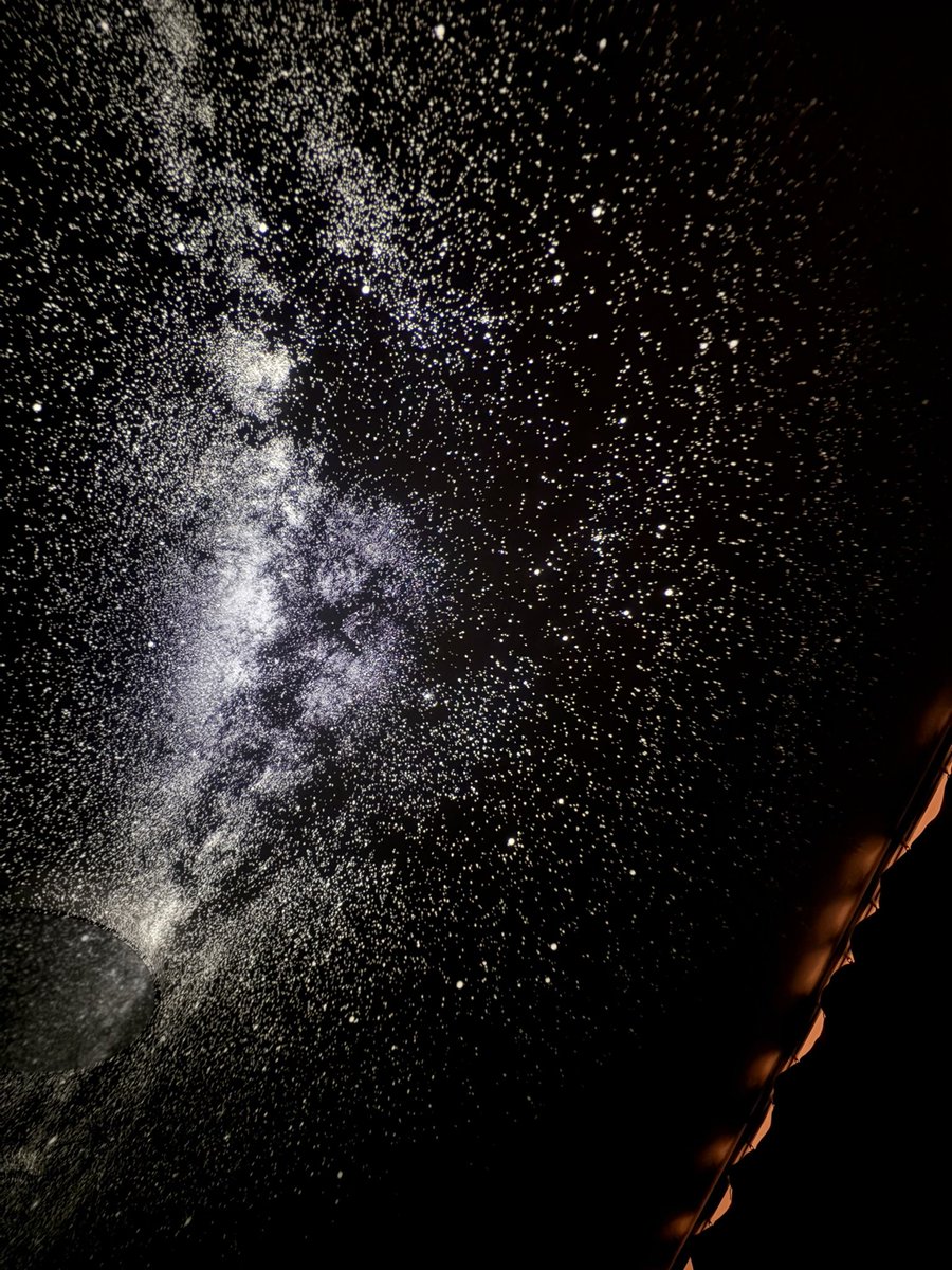 TraitorIsBetty🍒 tweet media