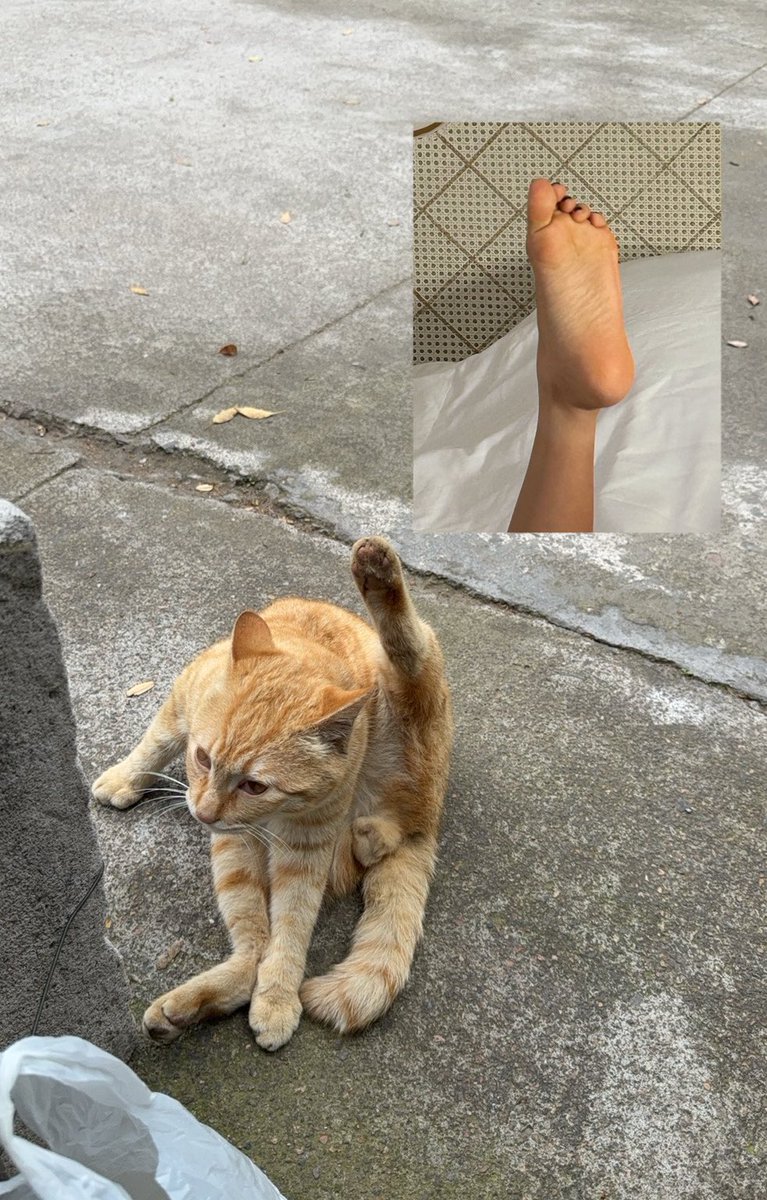 mumihappylou～ tweet media