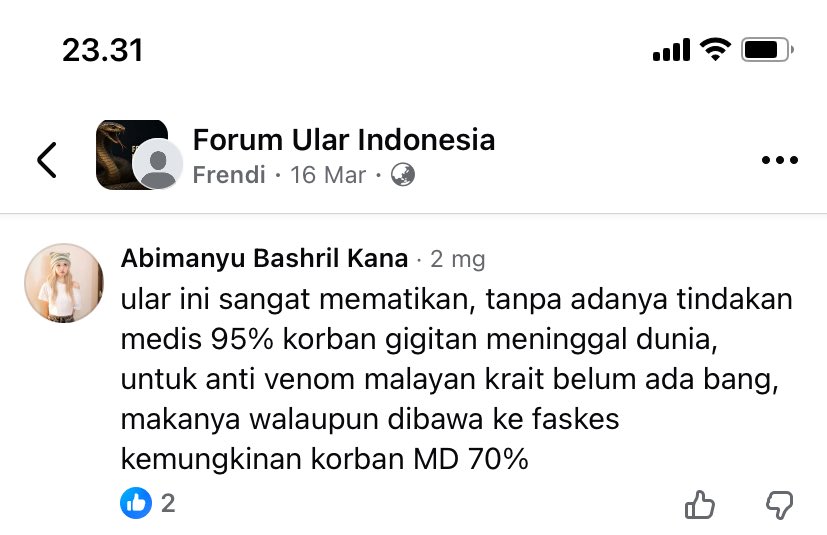 dimszss tweet media