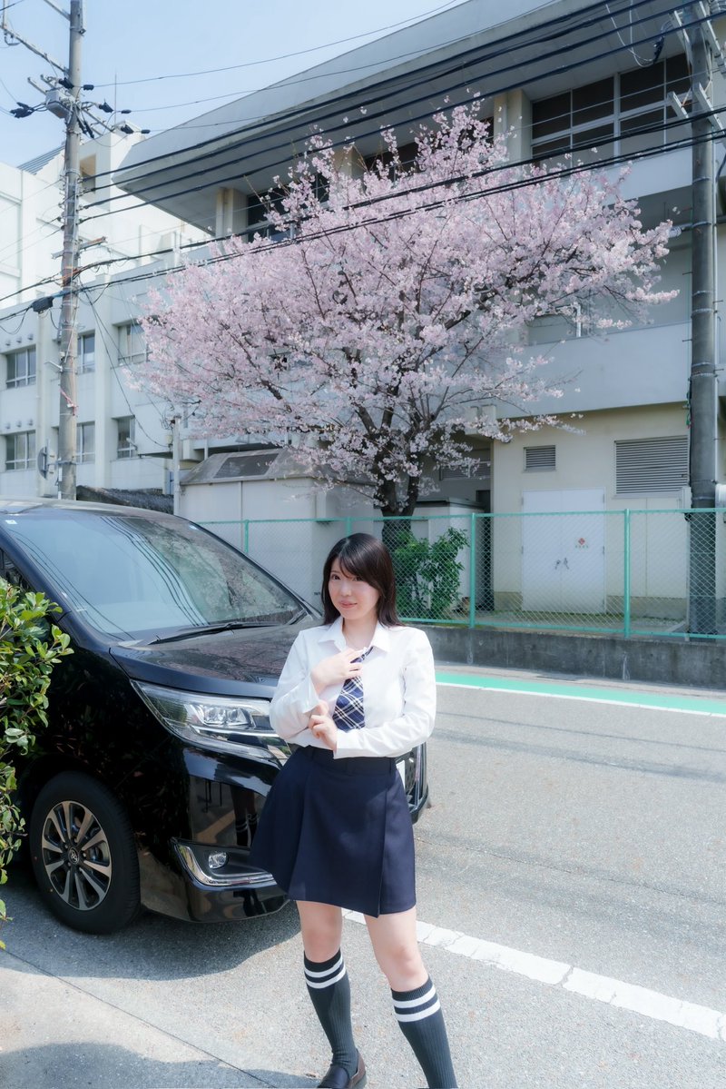 夏来りか🎀（なにゃ🐱） tweet media