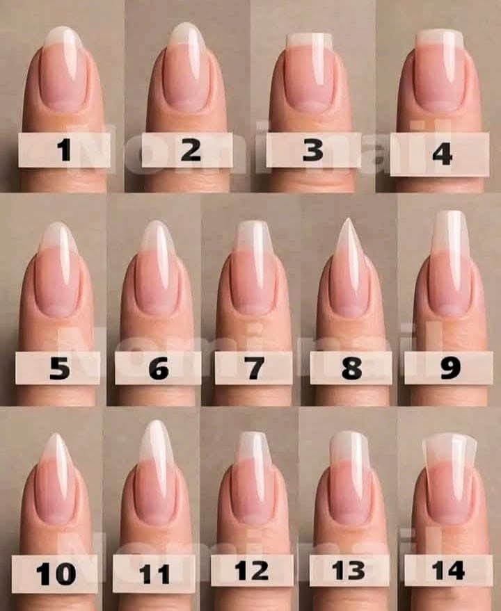 Nimra Shahzadi ❣️ tweet media