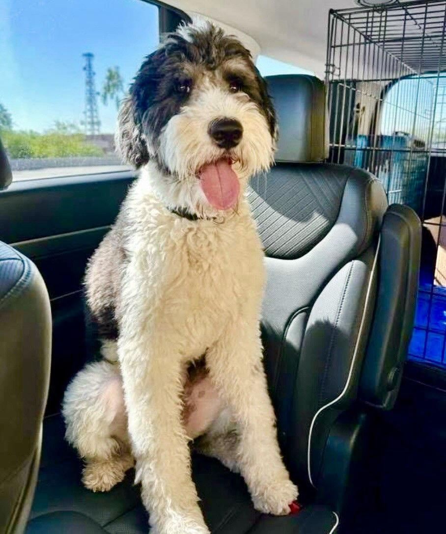 Sara Mary ⭐❤️ tweet media