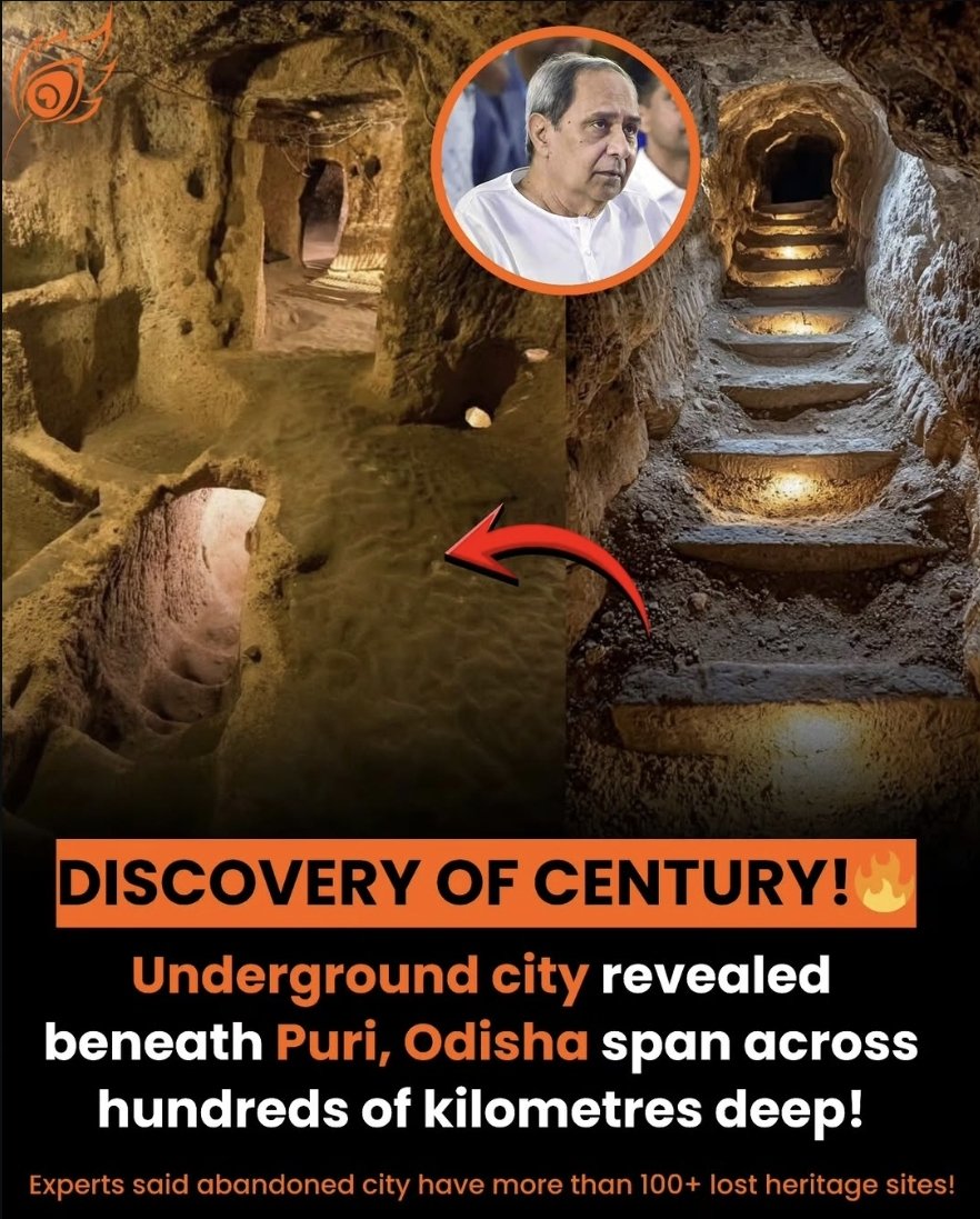 LOVEXALTED 🌐 tweet media