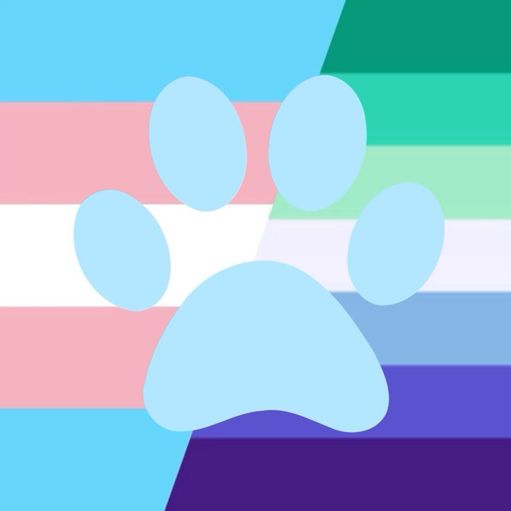 🖤💙𝖂𝖔𝖑𝖋𝖎𝖊💙🖤 tweet media