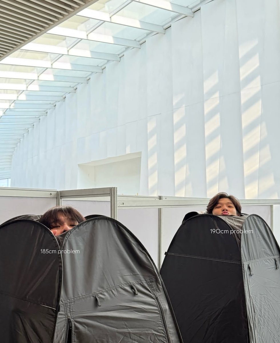 zieᡣ𐭩⋆˚ tweet media