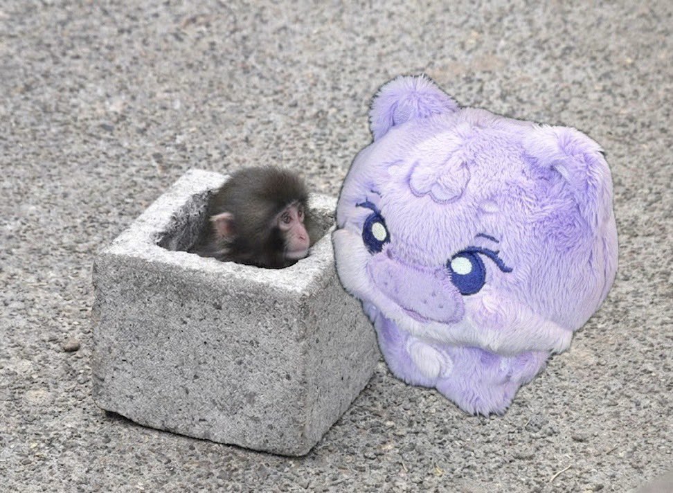 PUNCHDENG PROJECT tweet media