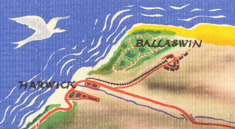 James Hates Bees tweet media