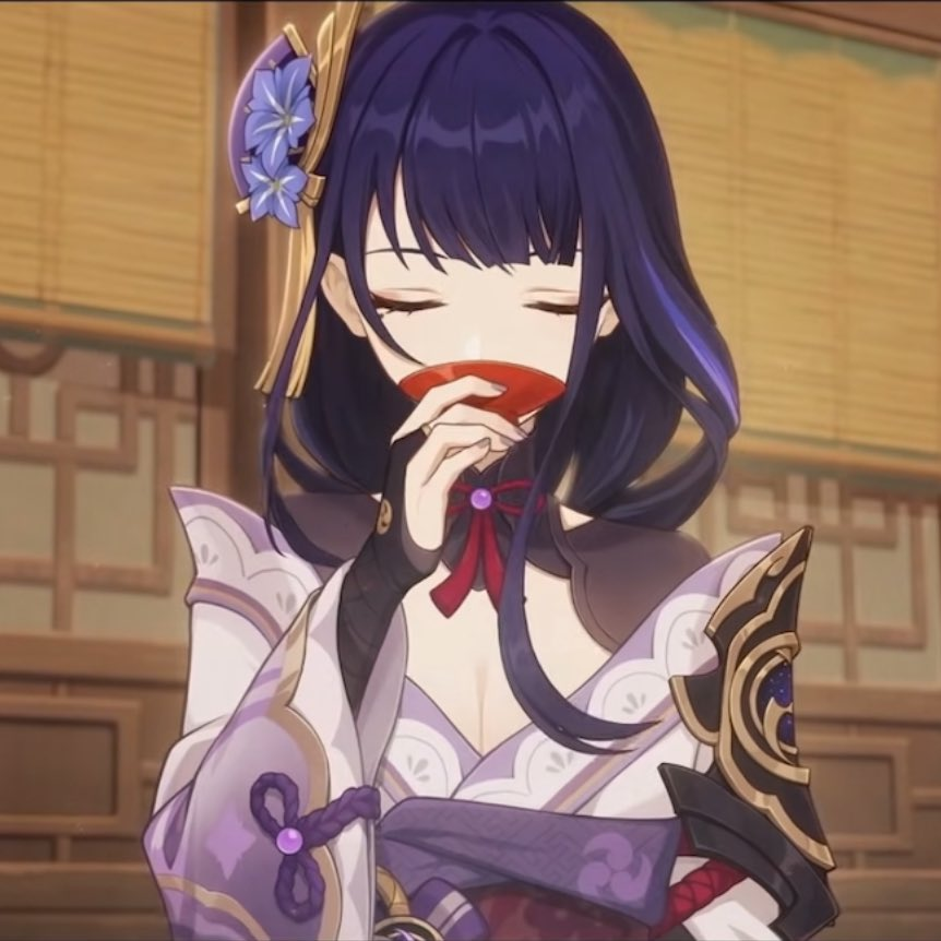 라이덴 쇼군 tweet media