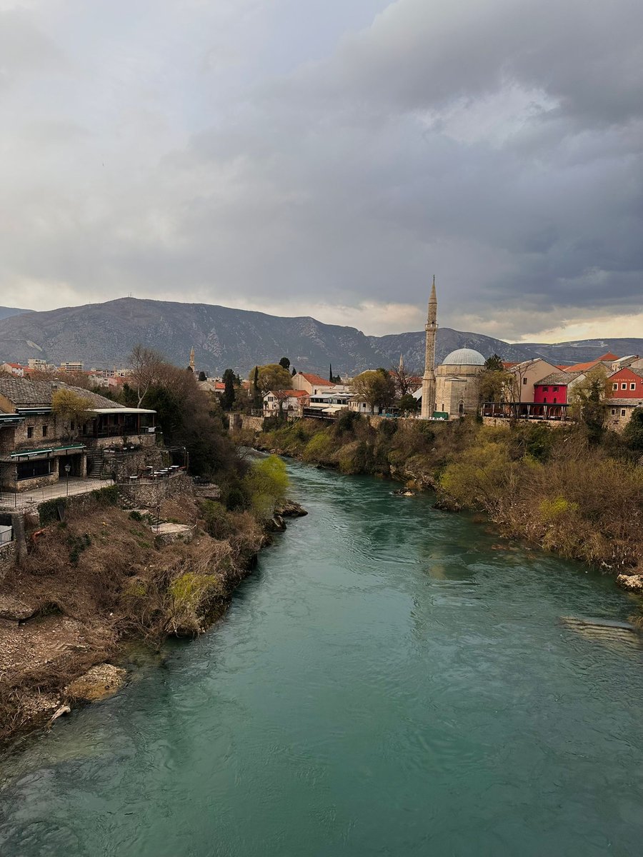 🐈‍⬛ tweet media