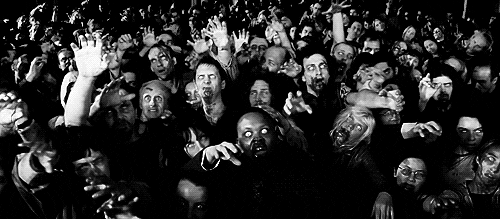 Pakal One tweet media