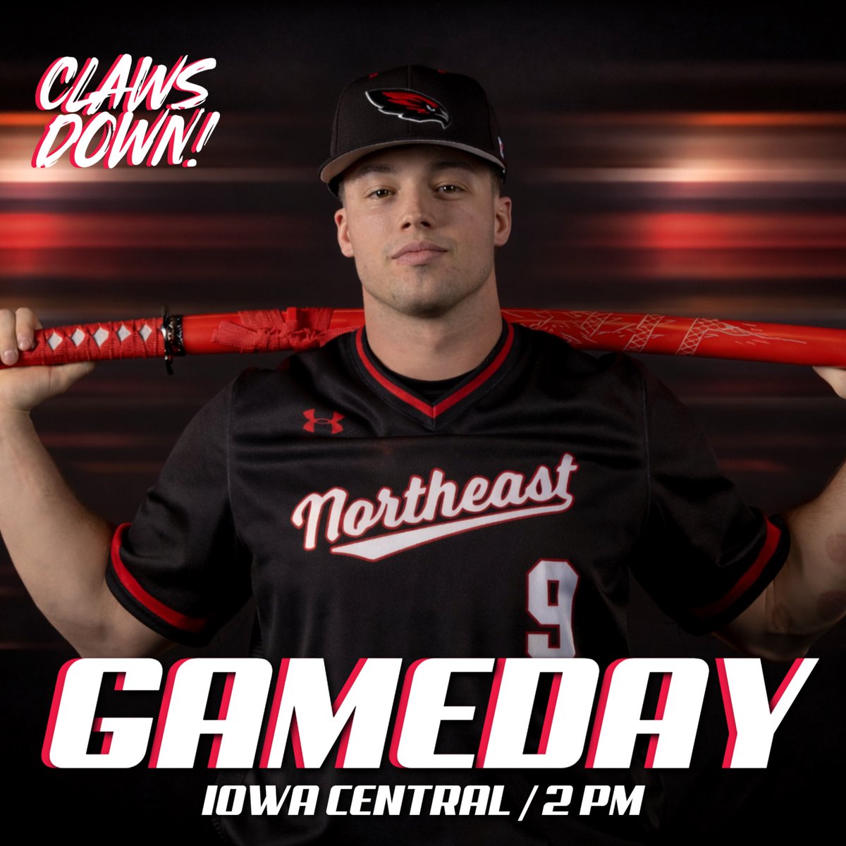 Northeast Baseball tweet media