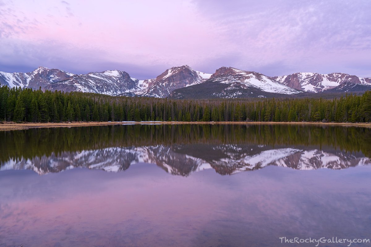 Thomas Mangan tweet media