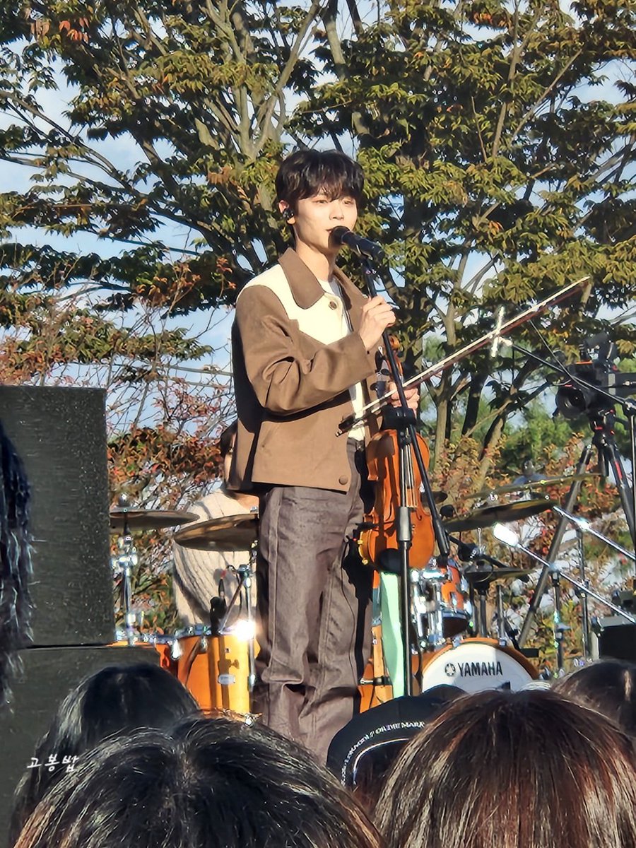 고봉밥 tweet media