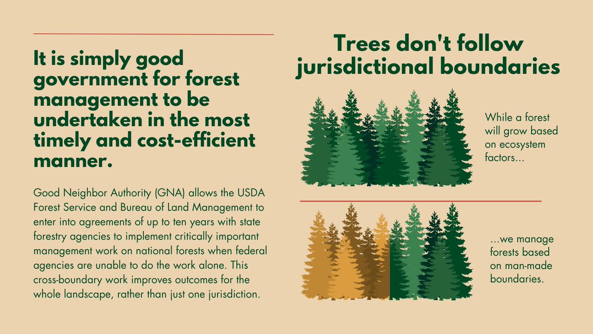 State Foresters tweet media