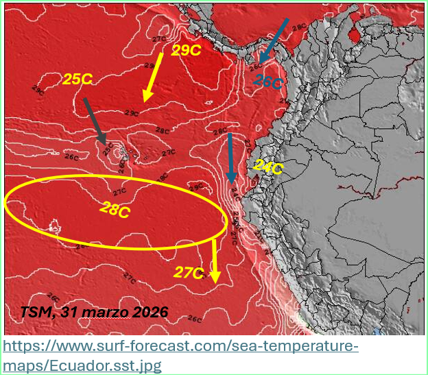 Franklin Isaac Ormaza tweet media
