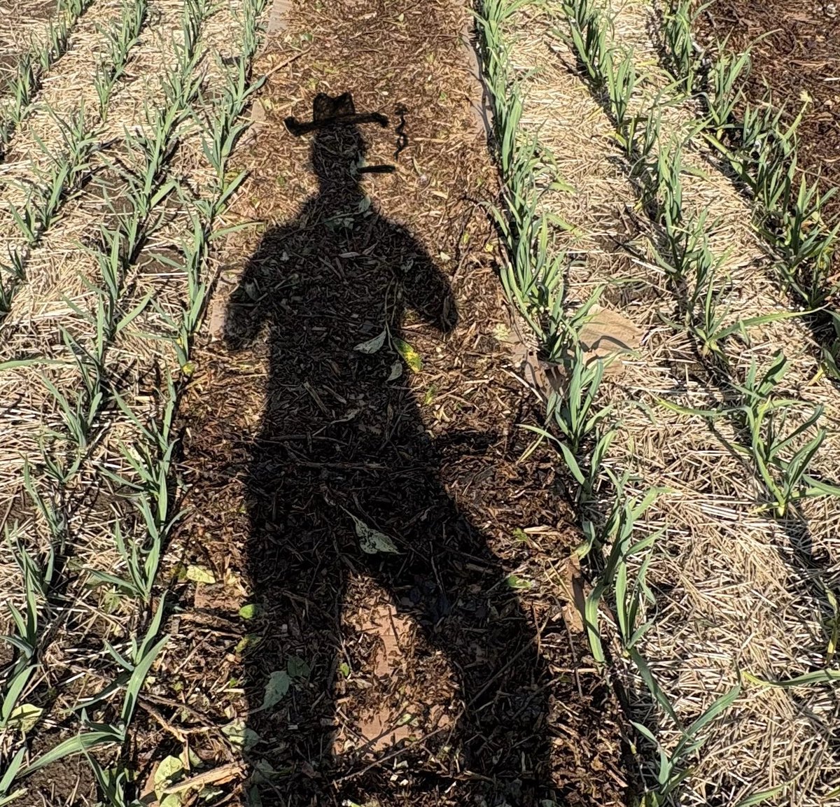 Loam.eth 🪱🌱 tweet media