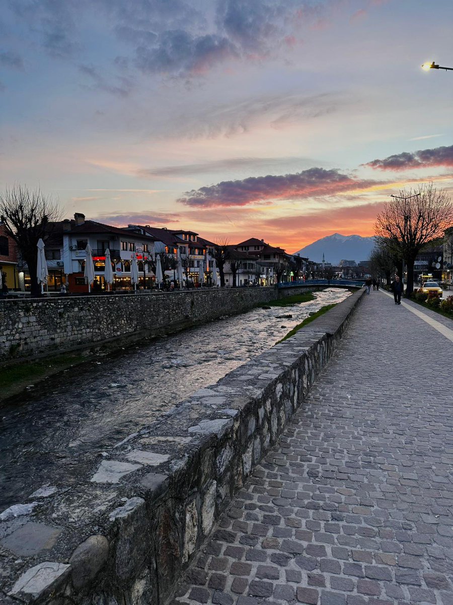 🐈‍⬛ tweet media