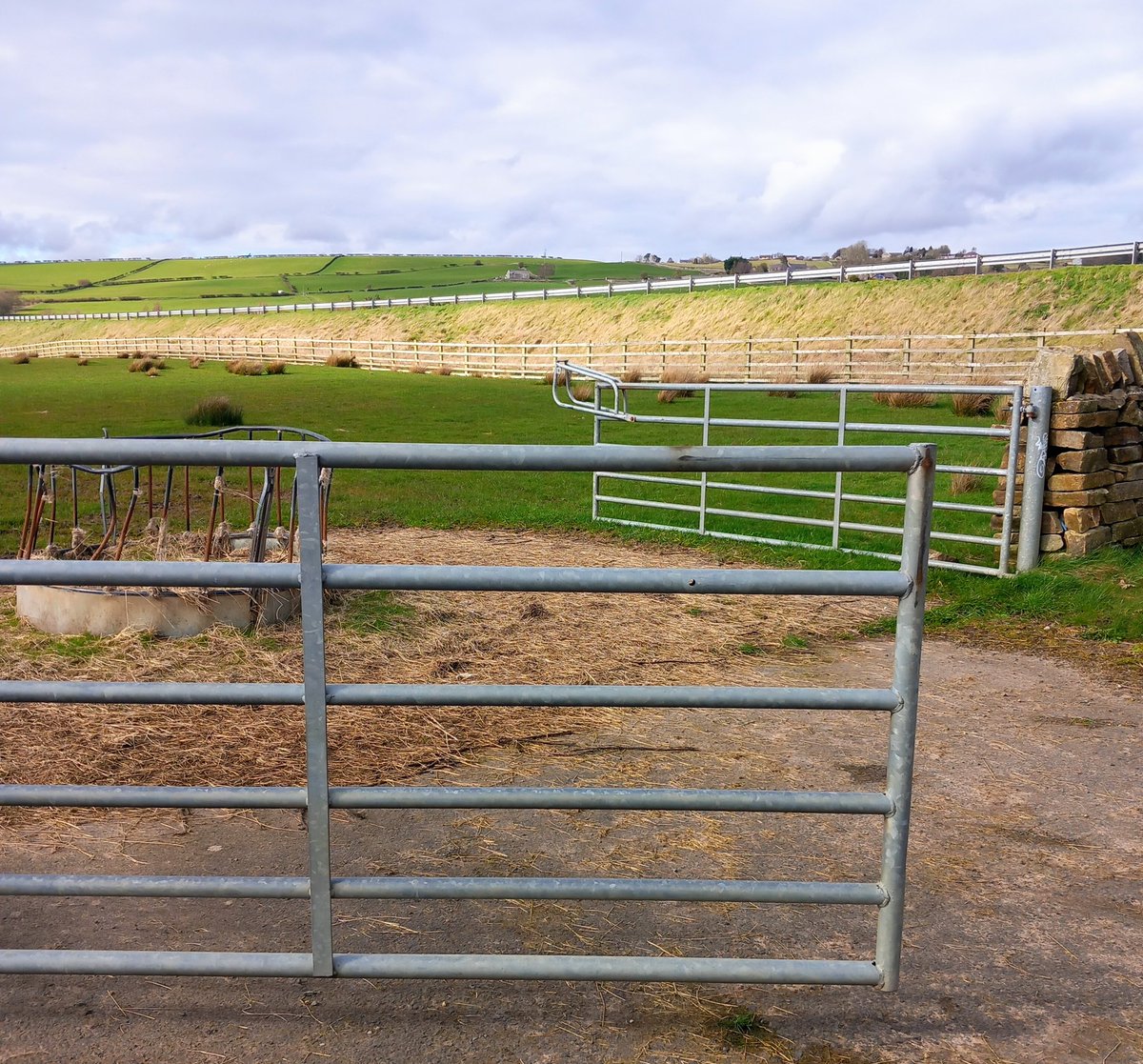 Elizabeth Bennett tweet media