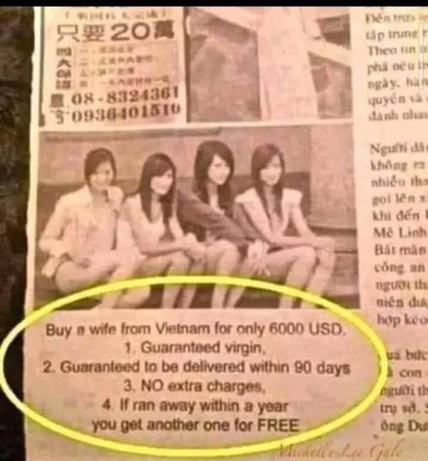 Miro P. 👽🇵🇱🇩🇪🇺🇲 tweet media