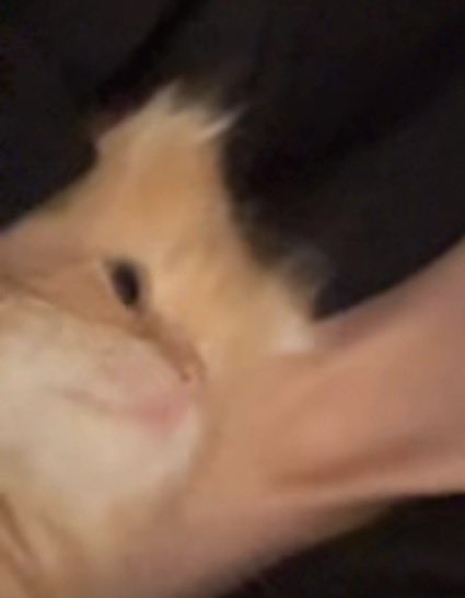 shadow911_ tweet media