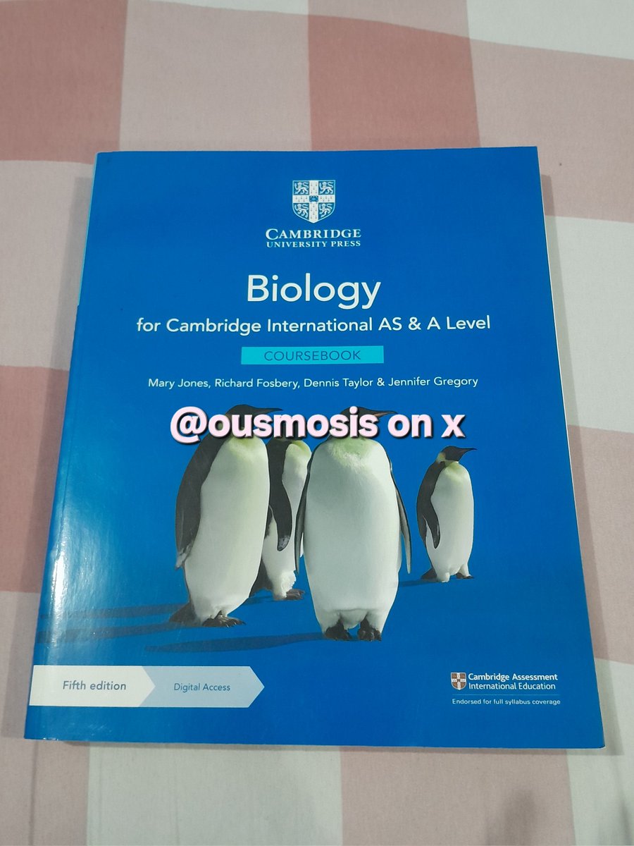 nɑy ²⁶ ⭐️💗 tweet media