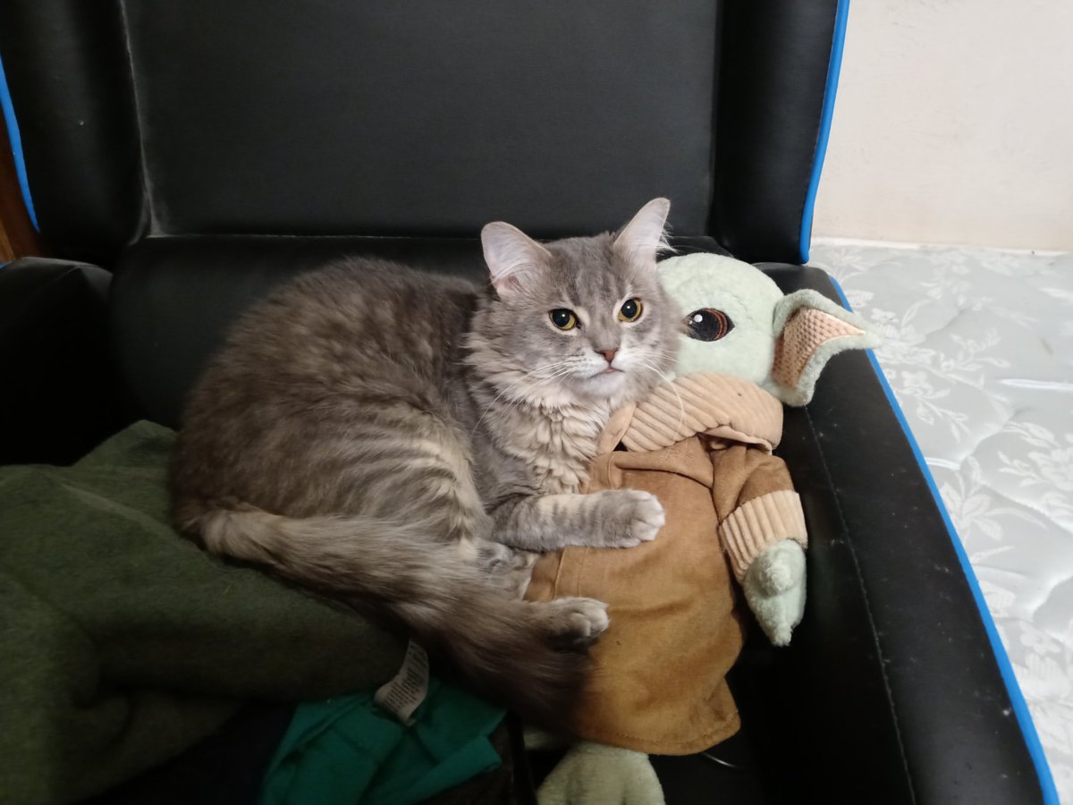 Synical_Gaming 🏴󠁧󠁢󠁥󠁮󠁧󠁿🇮🇹🇺🇸🇮🇪🇬🇧 tweet media