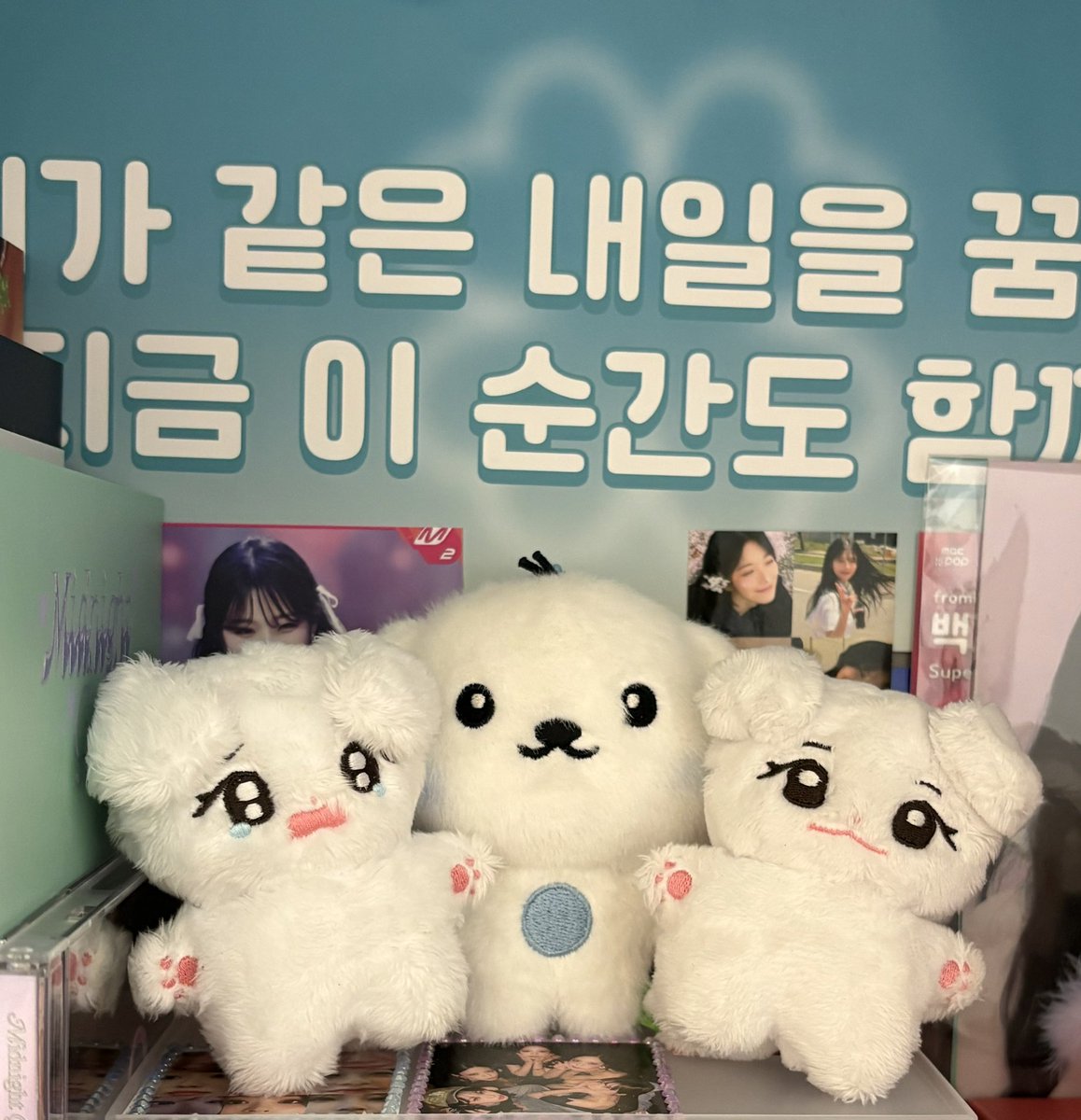 오늘도 지헌 tweet media