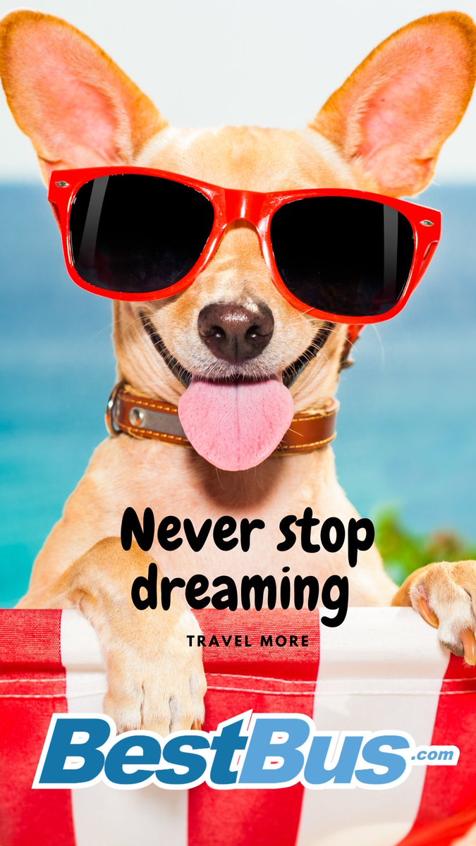 TheBestBus's tweet photo. Paws what you’re doing! 🐾🕶️ Don't just dream about your next getaway—make it happen. Pack your bags, grab your shades, and let BestBus get you there in comfort and style. Life is short, so TRAVEL MORE! 🏖️🚌

Book your adventure today: https://t.co/qe4lPis1jf #BestBus #TravelMore https://t.co/KAcZY8nA3l