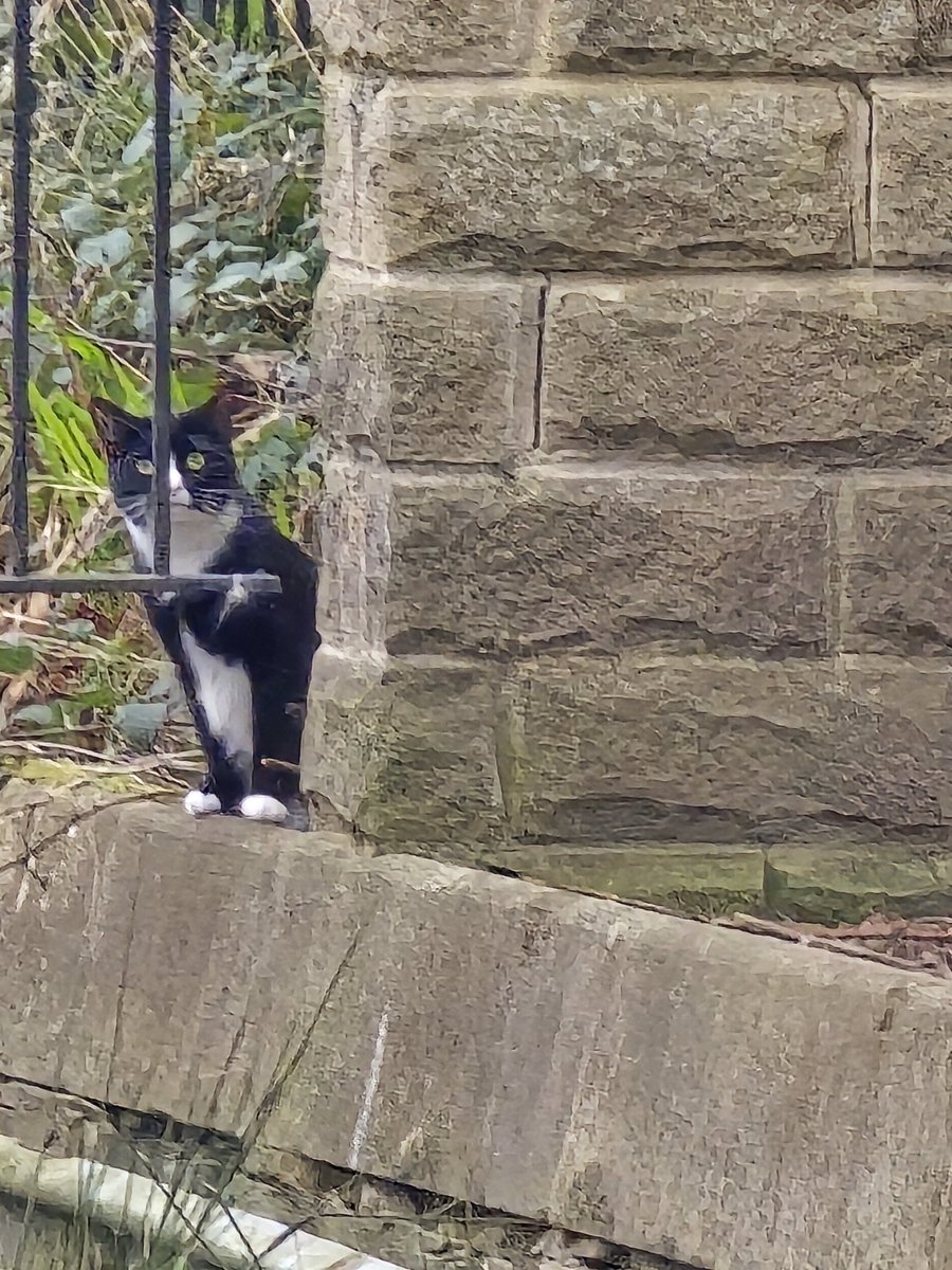 Ren 💚 MCRLDN 11/7 tweet media