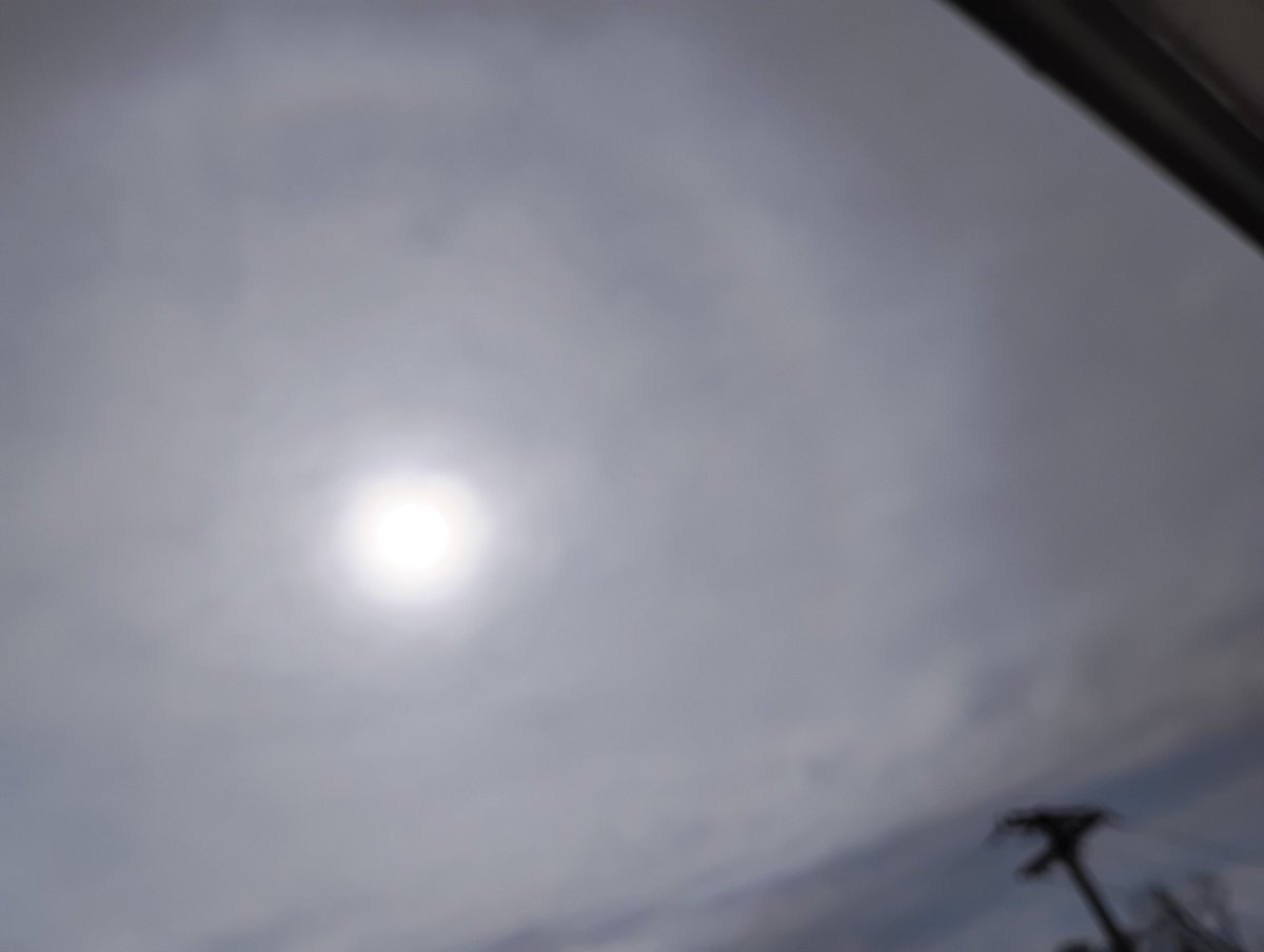 BeesKnees tweet media