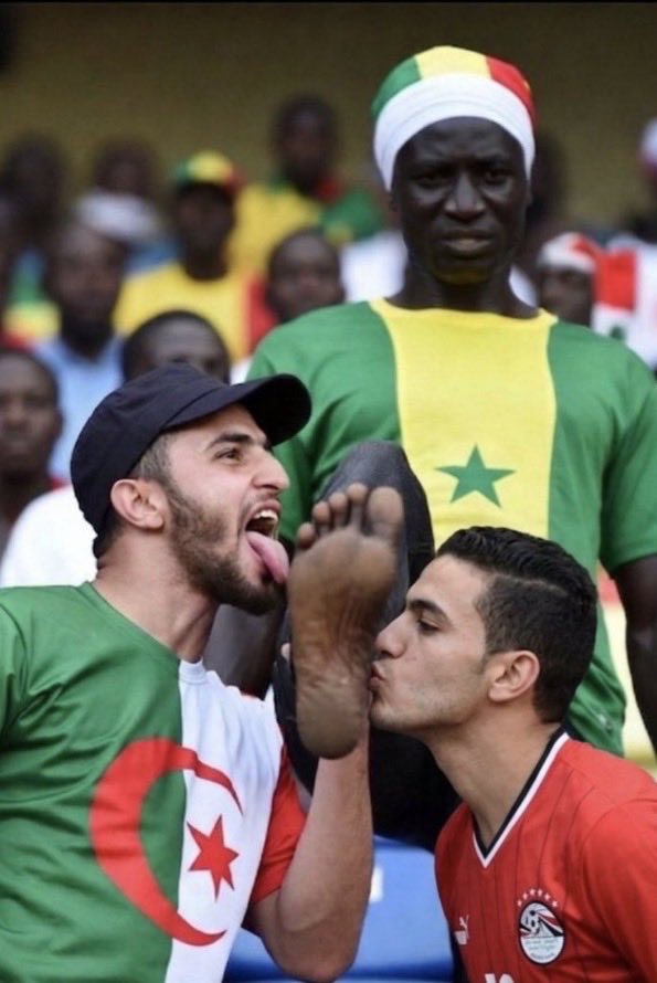 Anonymous266 tweet media