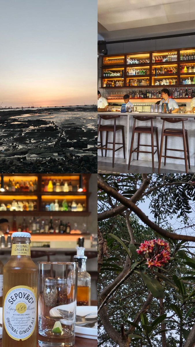 Olly Esse tweet media