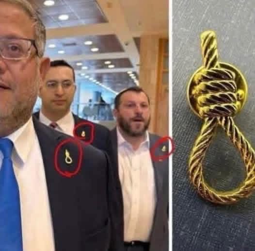 Layla Darwish tweet media