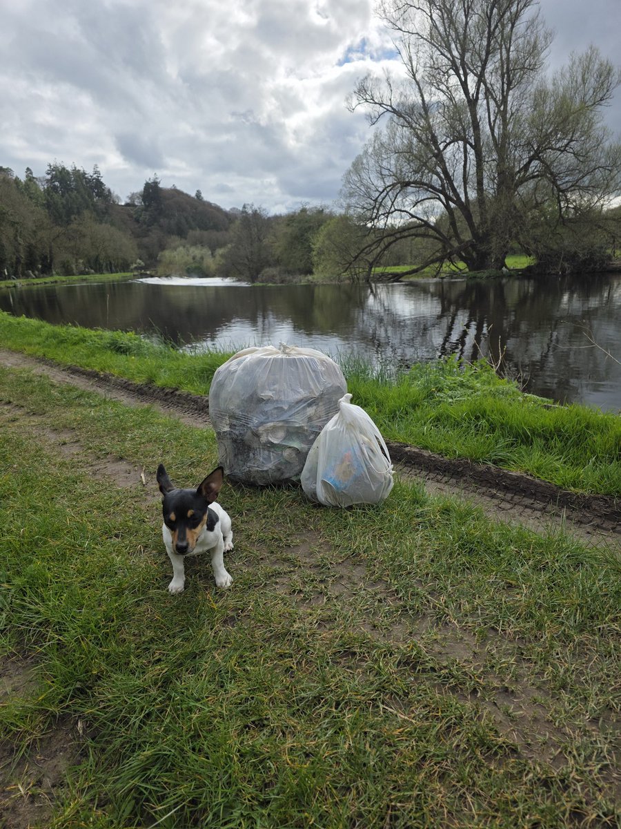 roriain's tweet photo. I had another good stroll and #litter pick on the #BarrowTrack with Luna πΎ. From Clashganna lock to Balingrane lock. #LeaveNoTrace #lovewhereyouwalk #pawsonplastic https://t.co/mWf7Rezsca