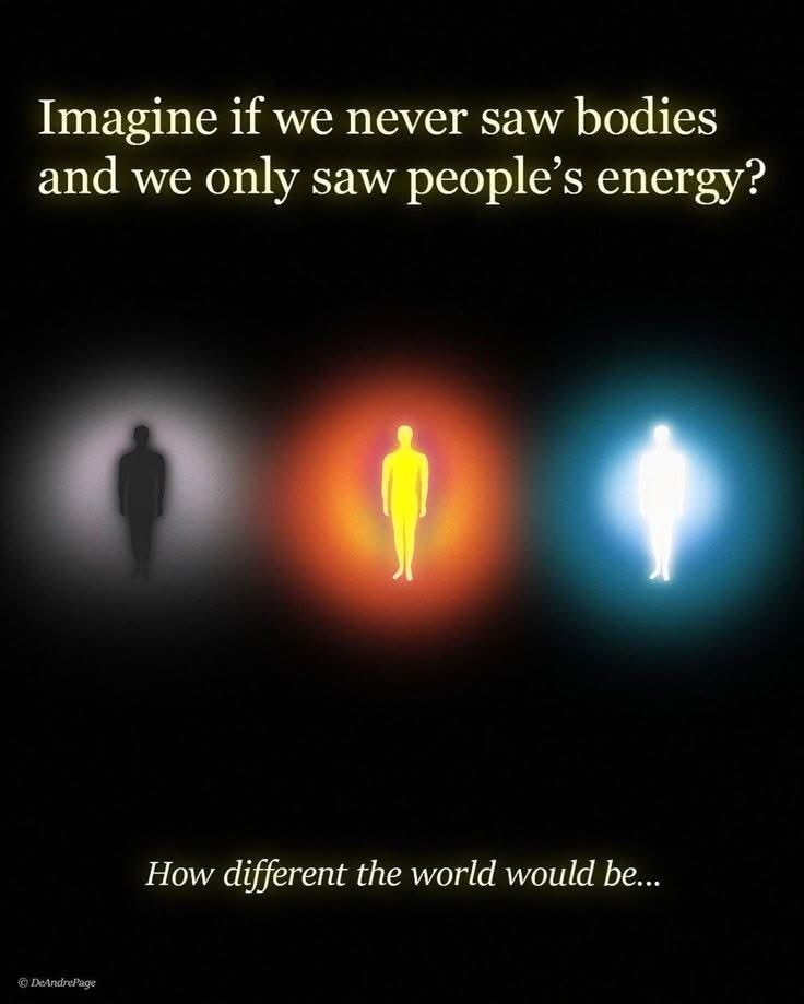 🧬Maxpein🧬 tweet media