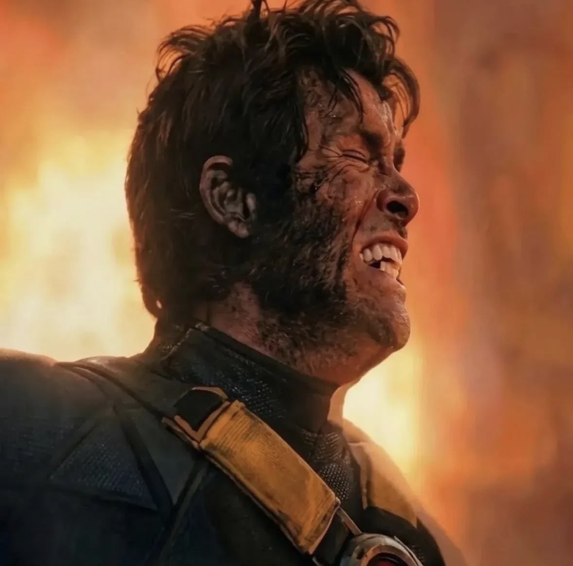 Movie Graf tweet media