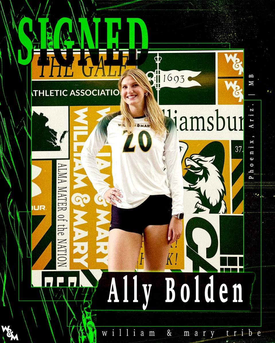 William & Mary Tribe Volleyball tweet media