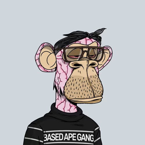 𝖇𝖆𝖘𝖊𝖉𝖆𝖕𝖊𝖇𝖔𝖙🦍 tweet media