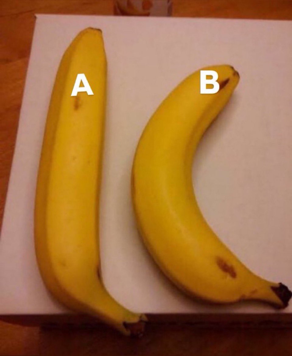 Deusa Juliaaa tweet media