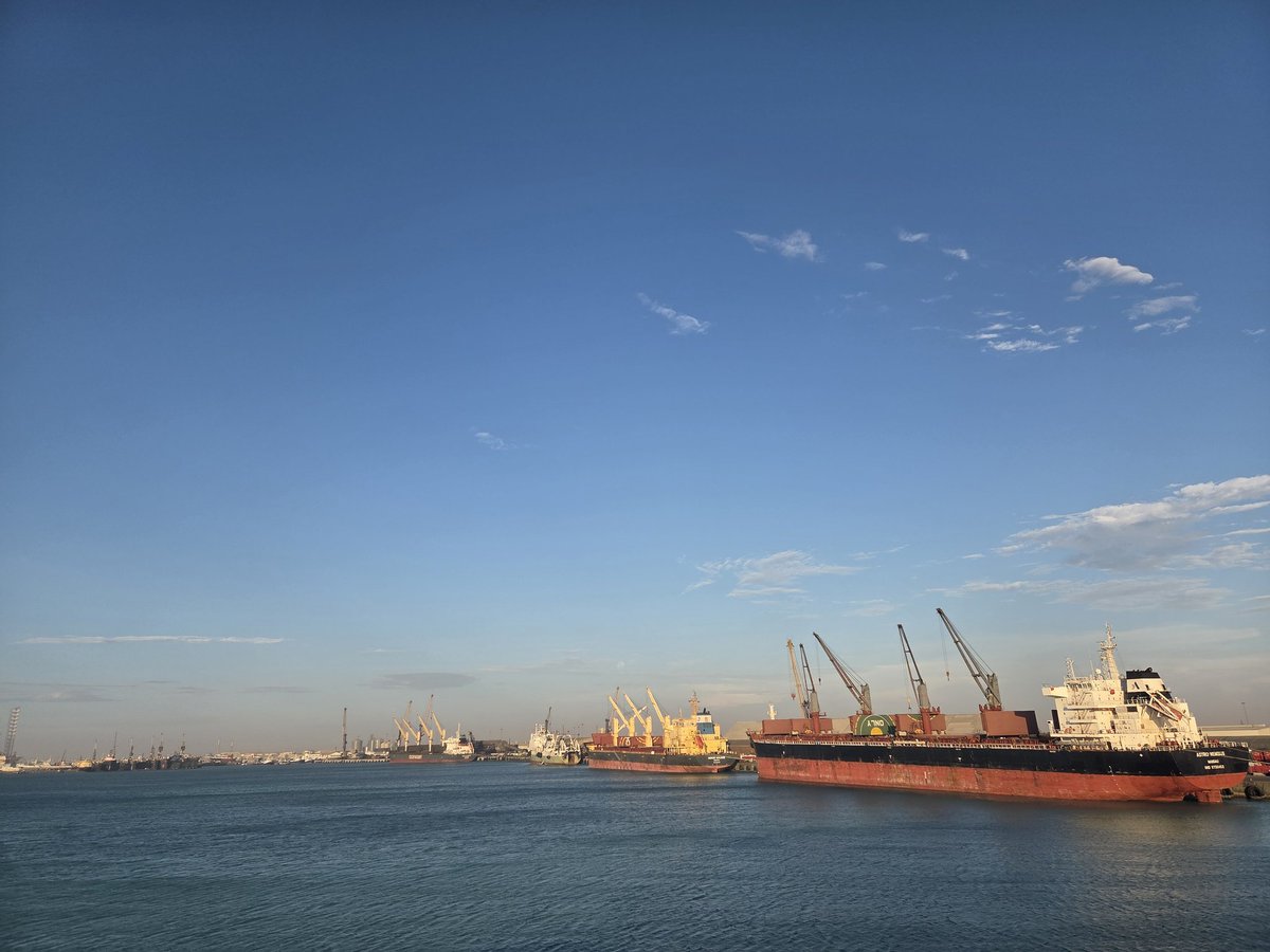 not reservoir dog tweet media