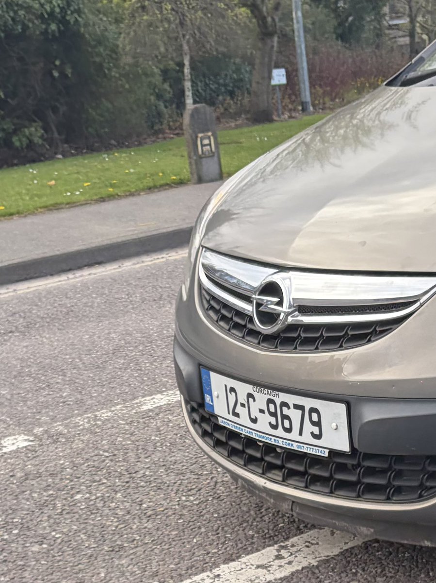 Rebel Cork tweet media